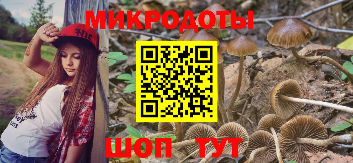 Галлюциногенные грибы мицелий Уссурийск
